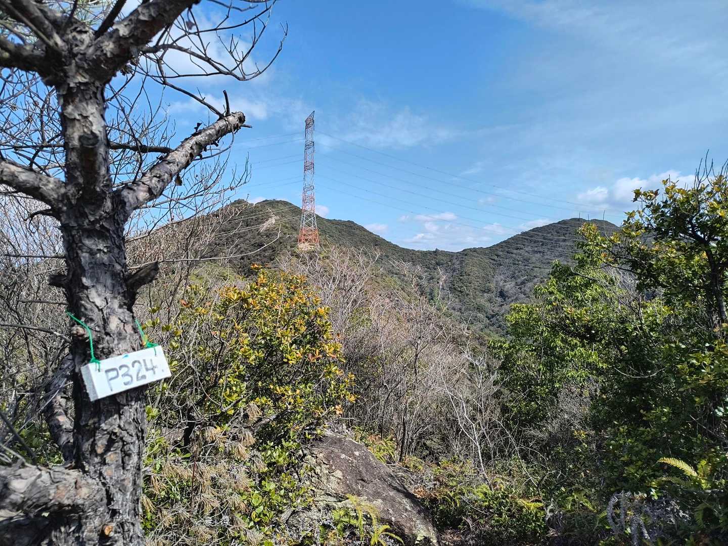 本日一座目、P324山頂到着〜♪
バックに大坂山✨
