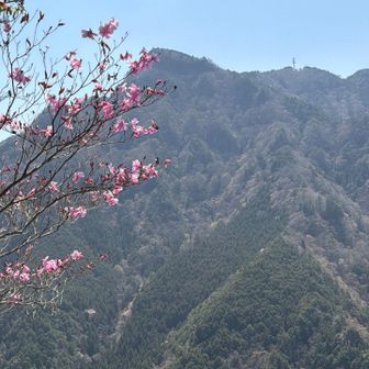 明神山絶景ポイントの少し先のポイントからパシャリ