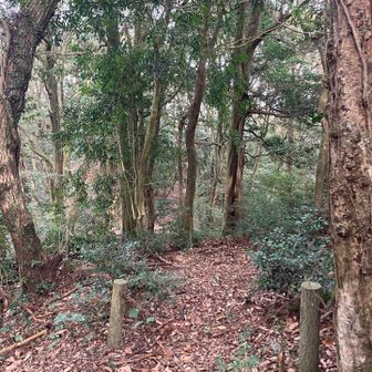 この日は　ここから　鎖⛓️を乗り越えて🚶💦