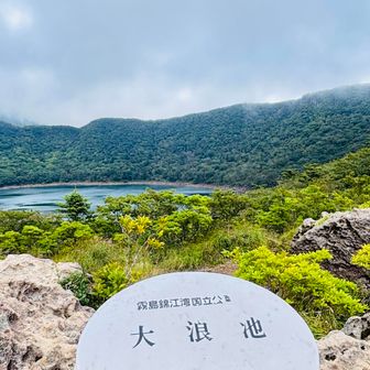 いつもの看板。
