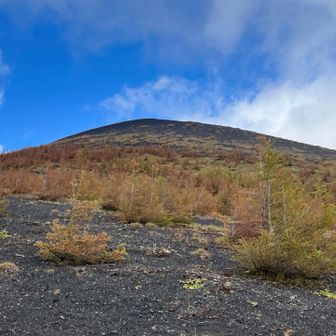 名残惜しいので、
登った山を振り返る。
