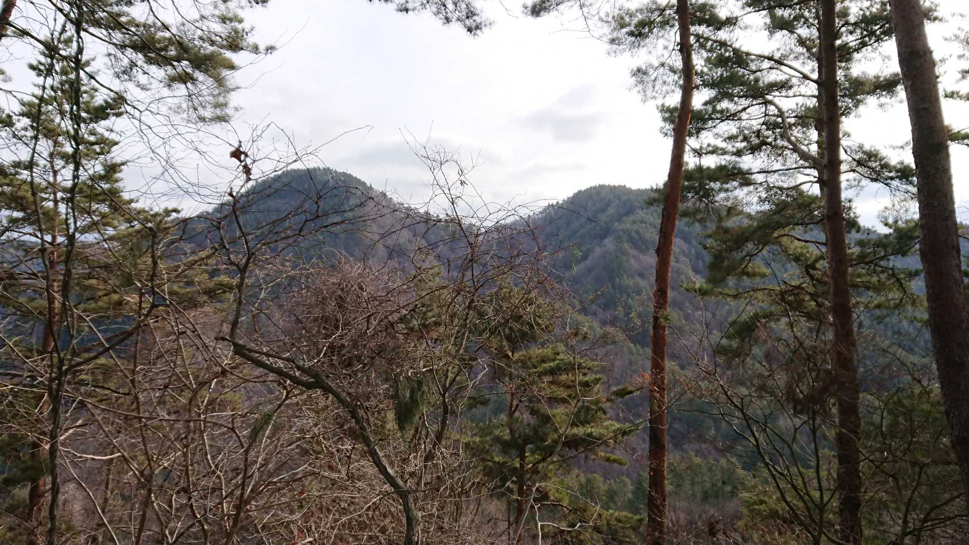 東山山頂からは鬼山、鹿穴が見えますよ😉