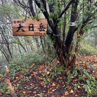 大日岳