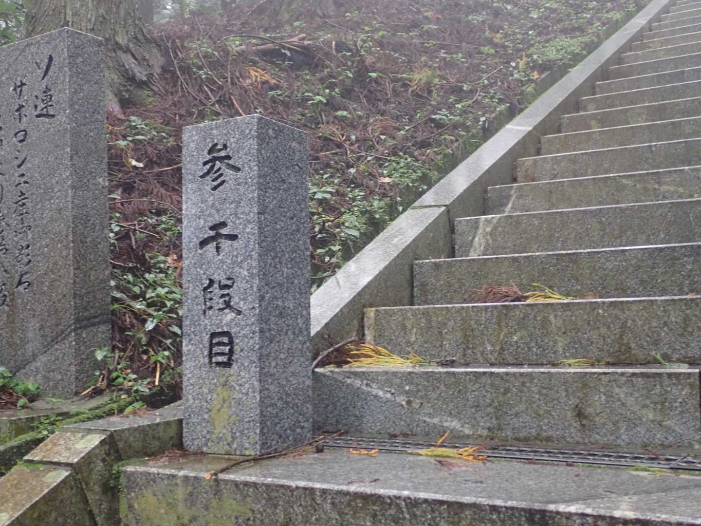 3000段
マジでキツい
ついて行けません💦