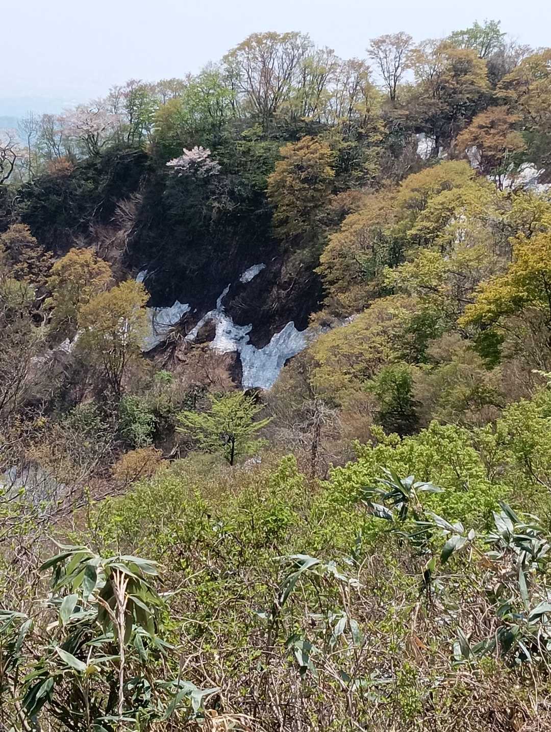 途中残雪の上を歩き
暑い位で気持ち良い　
山肌にも残雪が😄