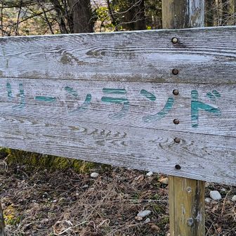 濃霧の高速に緊張   ようやく到着しました