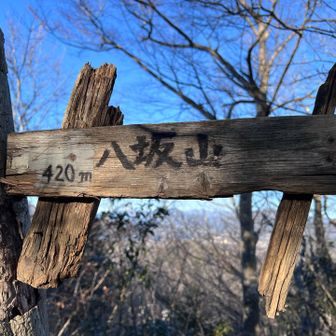 その先の赤坂山です