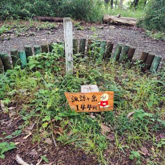 諏訪ヶ岳
ゴマちゃん…？
ちょっとびみょう〜