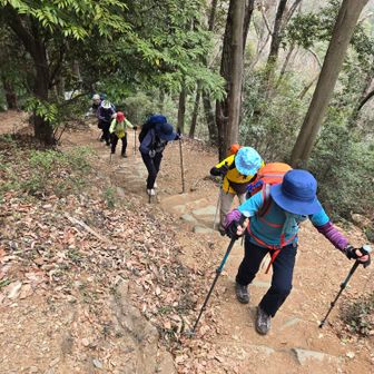 多峯主山が近くなると、急斜面になってきました。