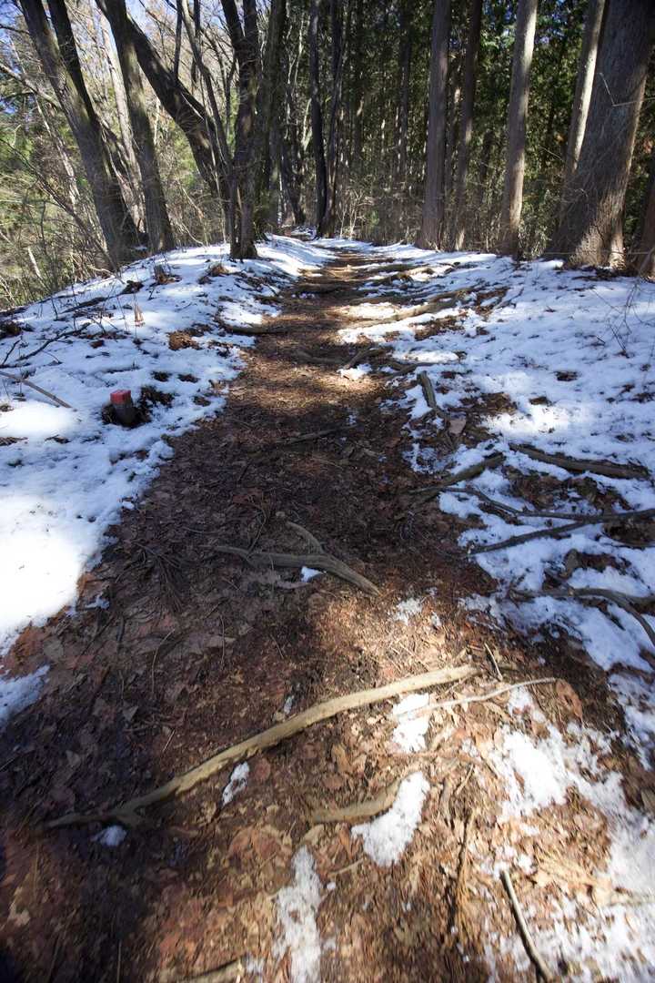 奥高尾〜裏高尾縦走（陣馬山・堂所山・富士見台・駒木野） の写真 15