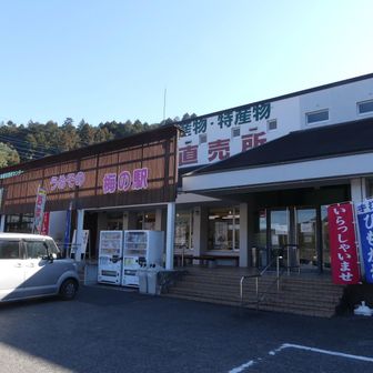 うめその梅の駅
