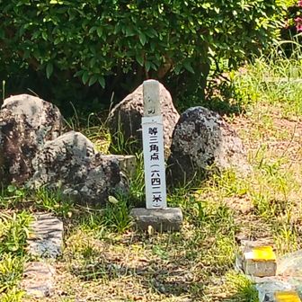 生駒山の三角点