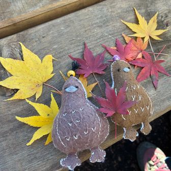 🍁も運んできた🥰