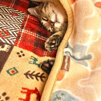 おむすびころりん