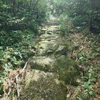 最初は石段、その後コンクリートで固めたような階段
小石がポツポツ出てるので滑りにくいかな
歩きやすいような気がする