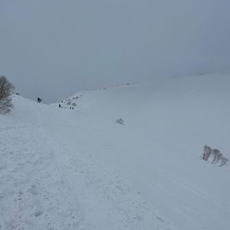 追いつかれました…