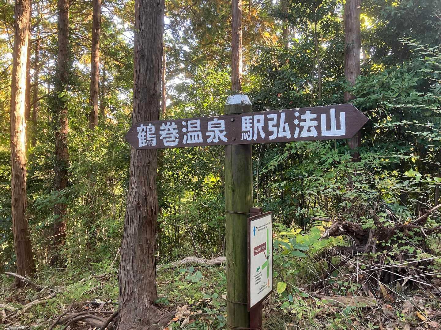 戻って来ました〜😊