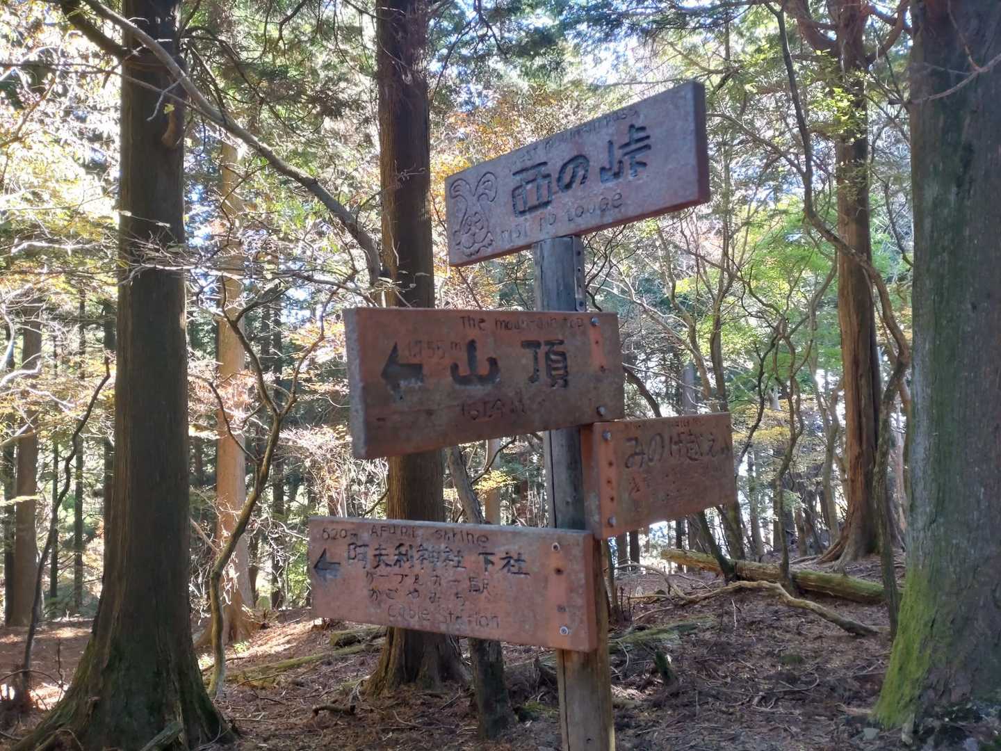 こういう味のある道標好き🤗
可愛いし温かみがありますよね～🐦️