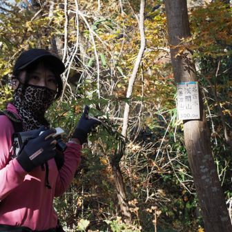 名古木浅間山に到着