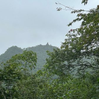 パゴダの塔の先端みえた✨