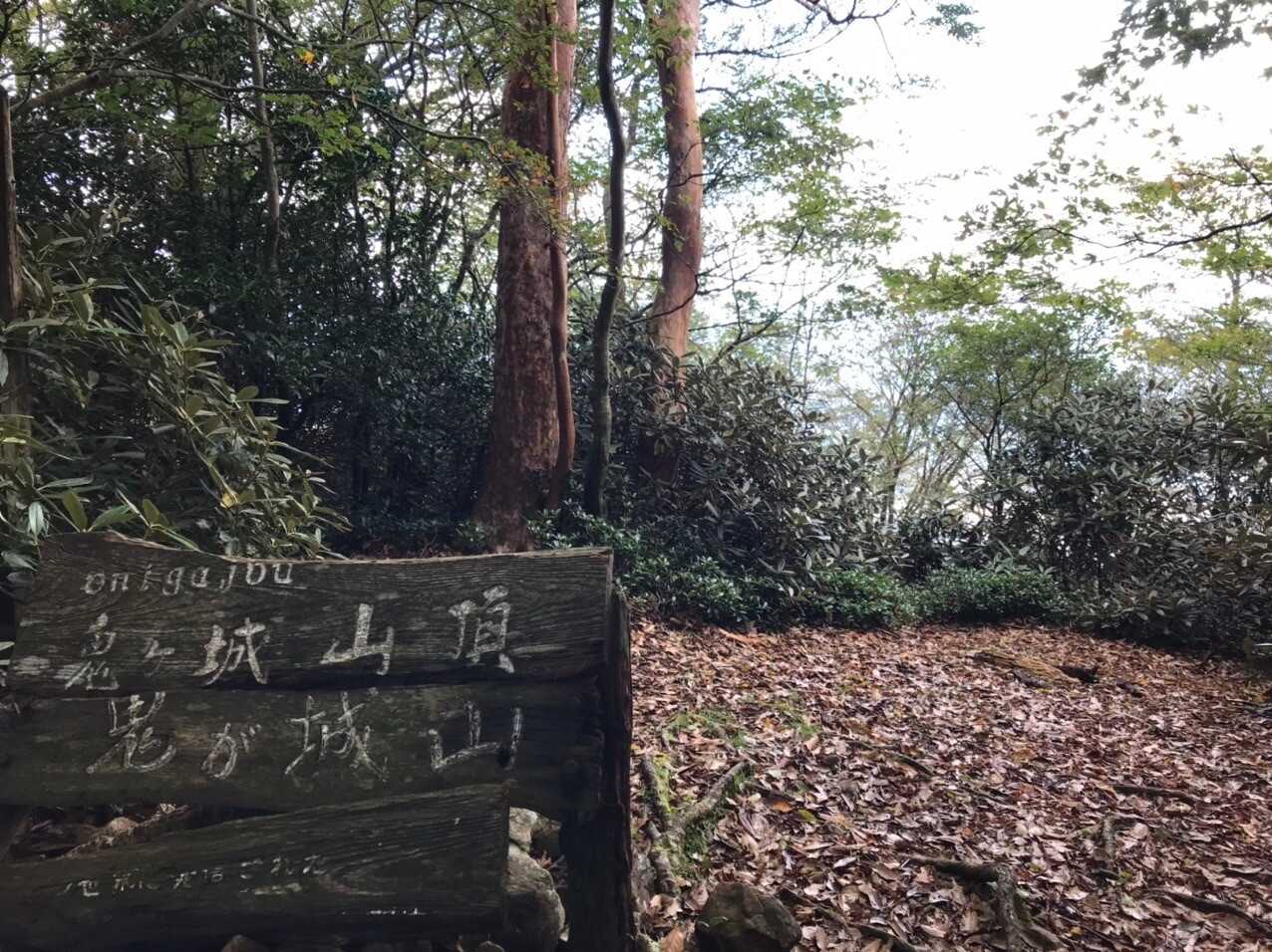 鬼ヶ城山の写真