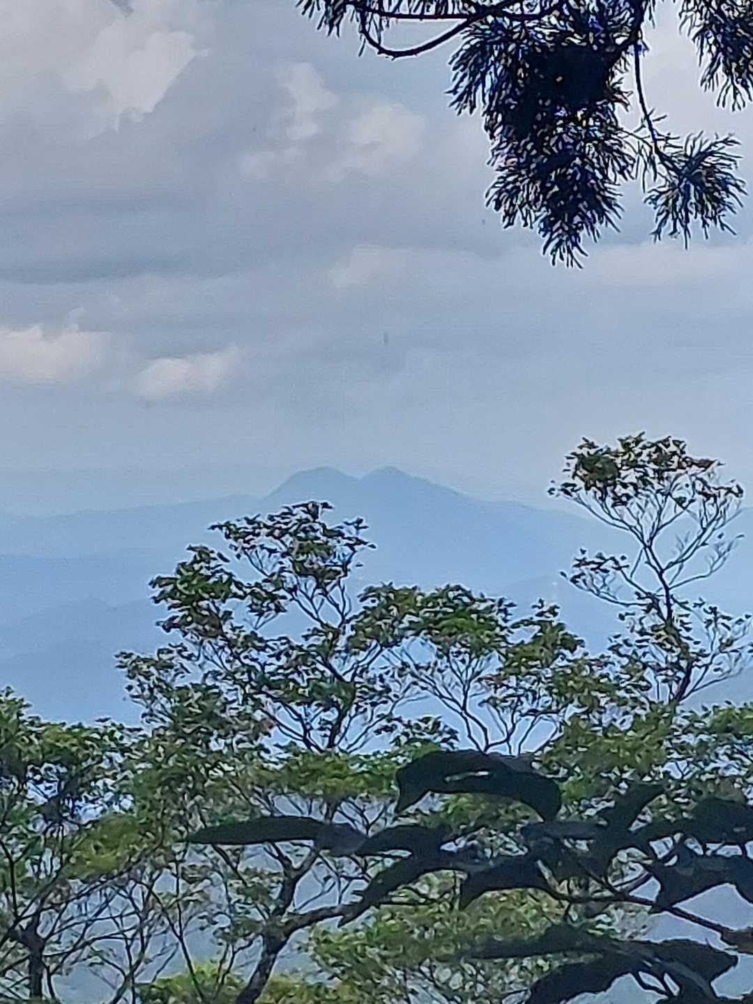 山頂手前から青葉山👀