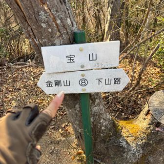 宝山つーいた　日連山からすぐだからやっぱり🦖の胸だね