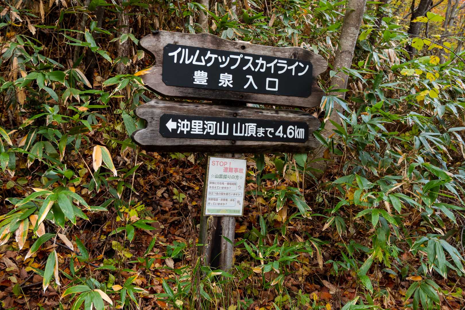 駐車場到着