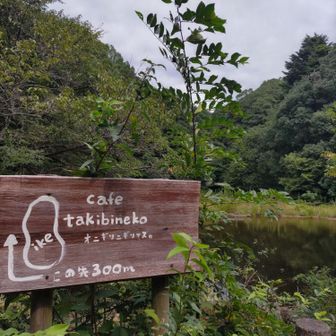 久しぶりに池に水があるのを見た。