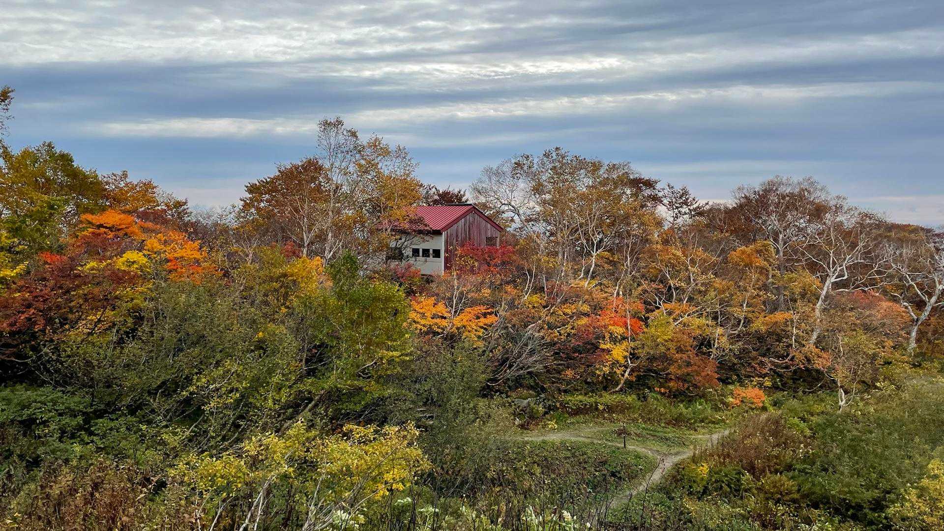 つぶ沼登山口-焼石岳 往復コースの写真