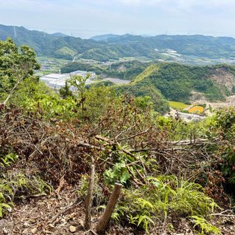 木を切ってくれて、眺望は良くなりましたが、景観が悪くなりました

