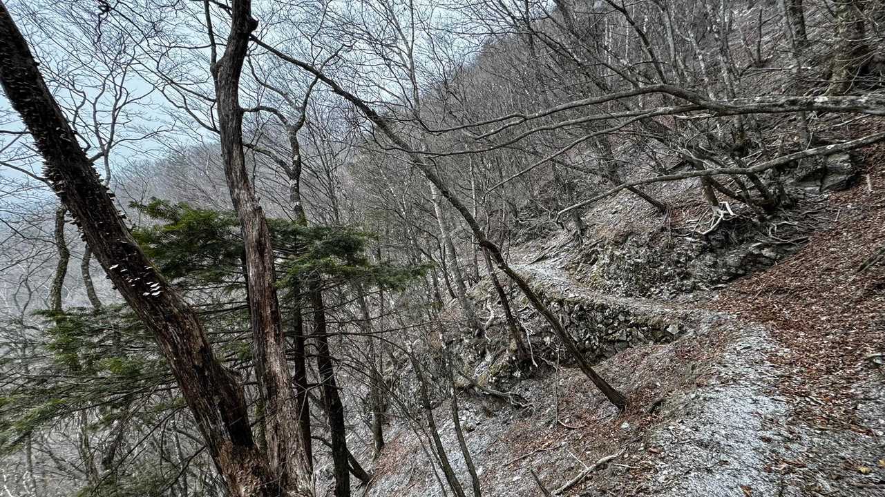 奥多摩、石尾根テン泊縦走（鴨沢〜七ツ石山〜鷹ノ巣山〜六ツ石山〜奥多摩駅） の写真 52