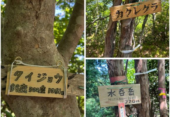 ㊗️近江百山♪銚子ヶ口＆カクレグラ101・100/101 / 綿はるの登山