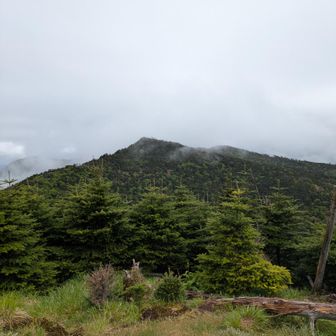 弥山山頂から八経ヶ岳はなんとか見れる