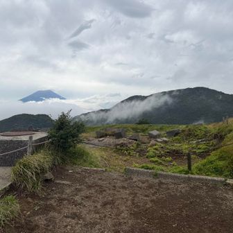 神山さんちっすちっす。