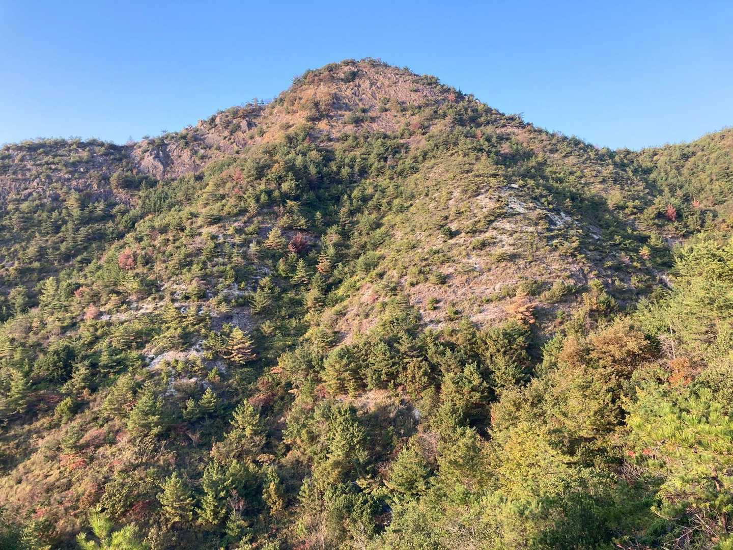 桶居山(南側)