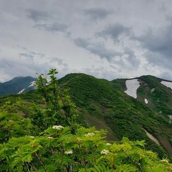 前僧とおくに僧ヶ岳 が見えてます
もうひと頑張り