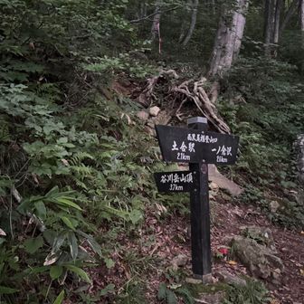 過去3回の谷川岳はロープウェイ利用。
今回は西黒尾根を自力で行きます。