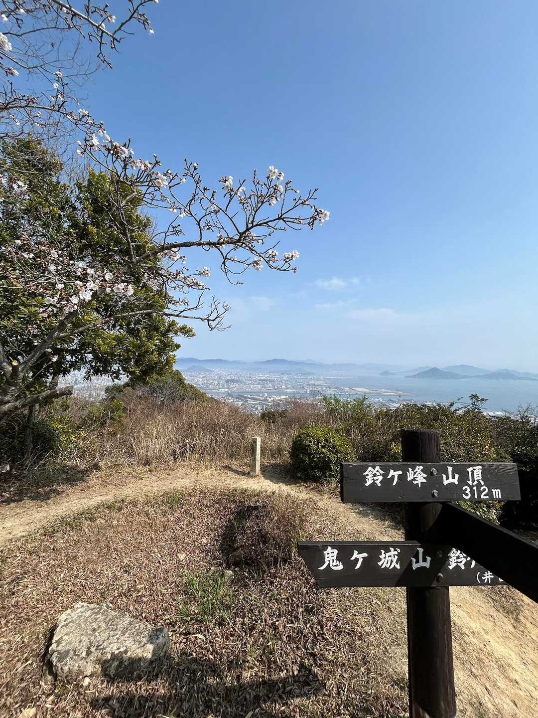 ここの桜はこれからなのか終わったのか？
カラスがとまってたけどガラガラ声…
花粉症かな？