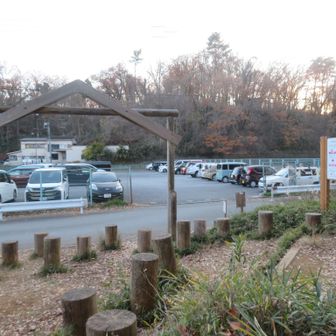 降りてきた～
今日も自然の中を気持ちよく歩けました💛
