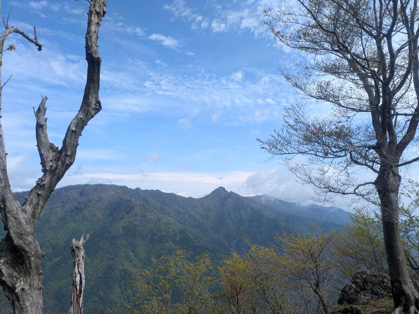 尾平トンネル登山口-尾平越-古祖母山 往復コースの写真