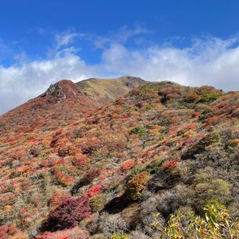 ユーザーよっちゃん
