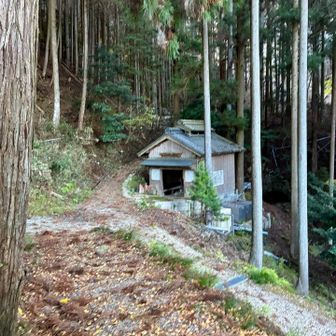 観音寺を過ぎると山道