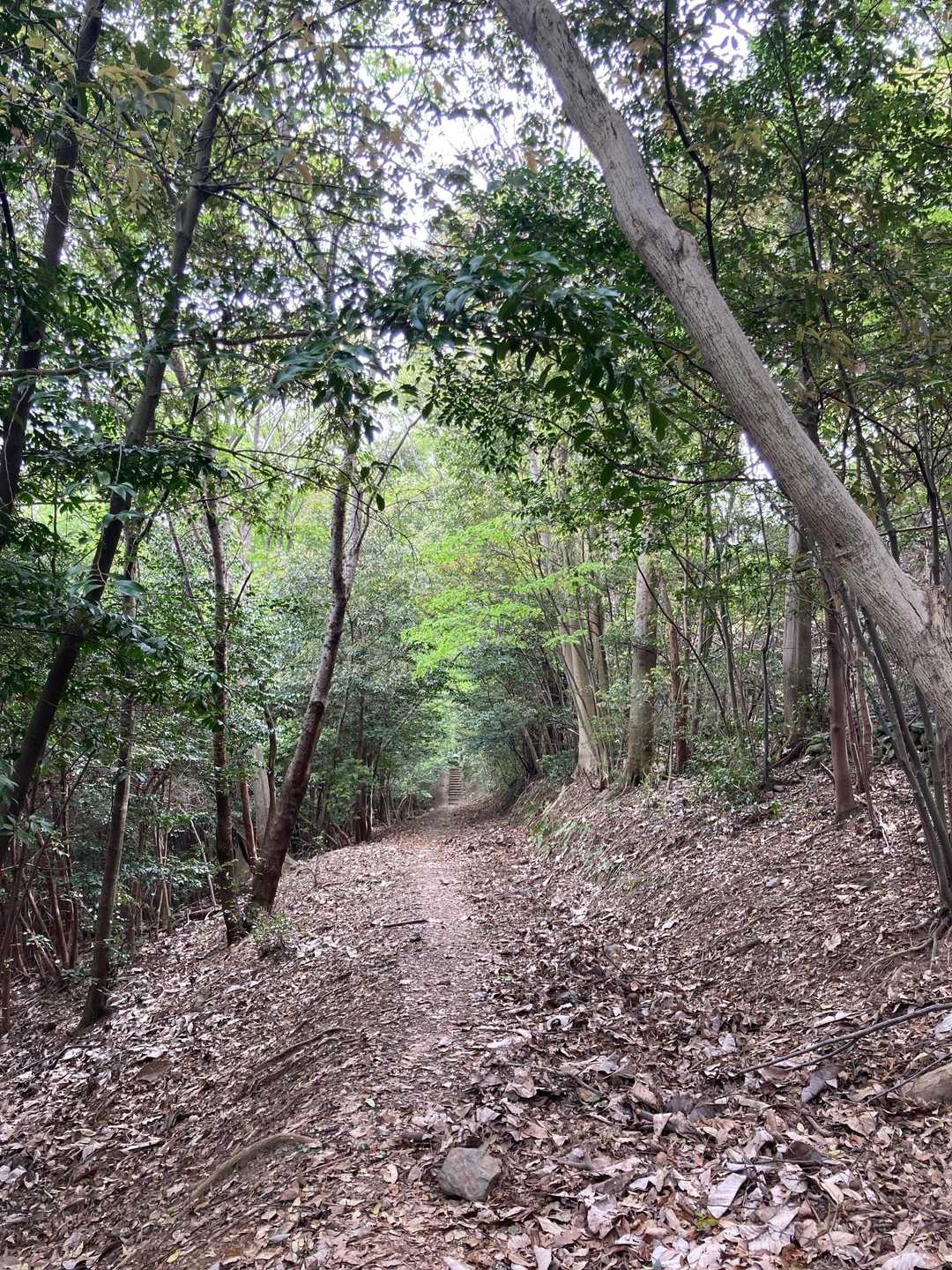 良い道〜☺️
