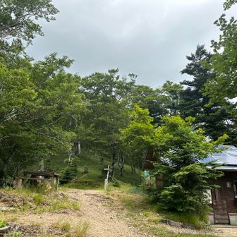 下山へ向かいます
