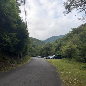 戻って来ました