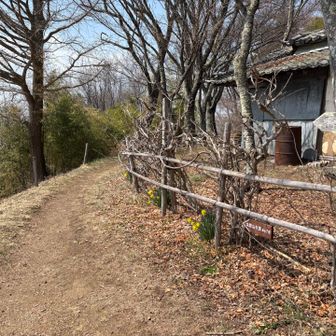 この先が山頂だったようです😅