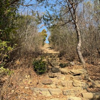 各務原権現山直前の階段が結構キツイ