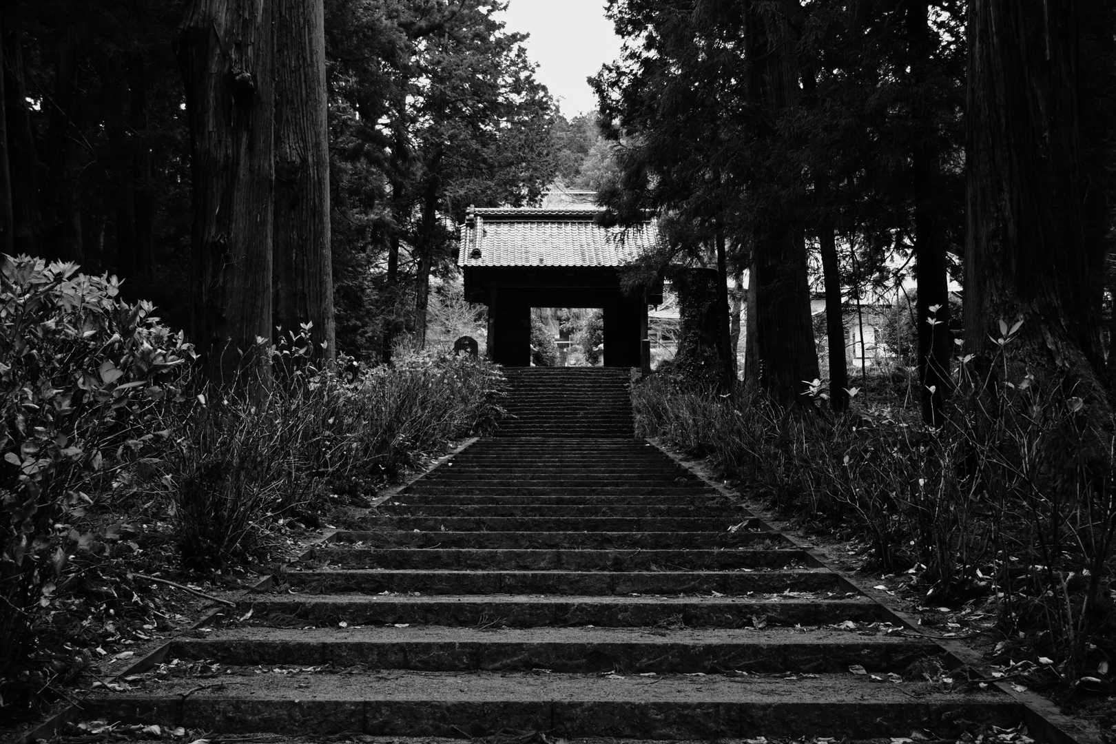 大中寺です