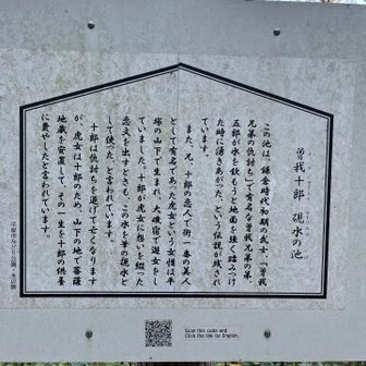 また、ものすごい伝説…
虎女のお話は事実のようで、高麗山のふもとに
「虎女住庵の跡」があります。